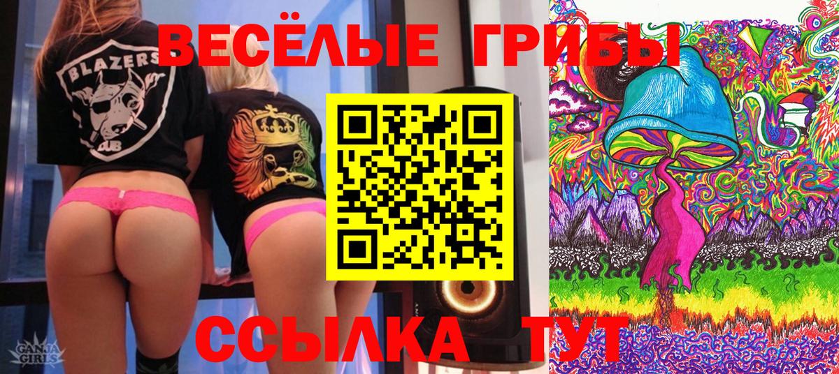 Галлюциногенные грибы Psilocybine cubensis Армавир